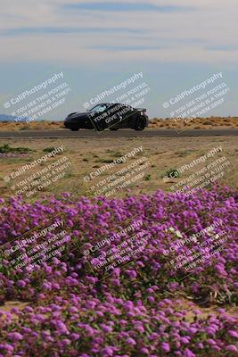 media/Jan-08-2023-SCCA SD (Sun) [[8f6a5b9391]]/Intermediate Group/Session 2 (Short Straight)/